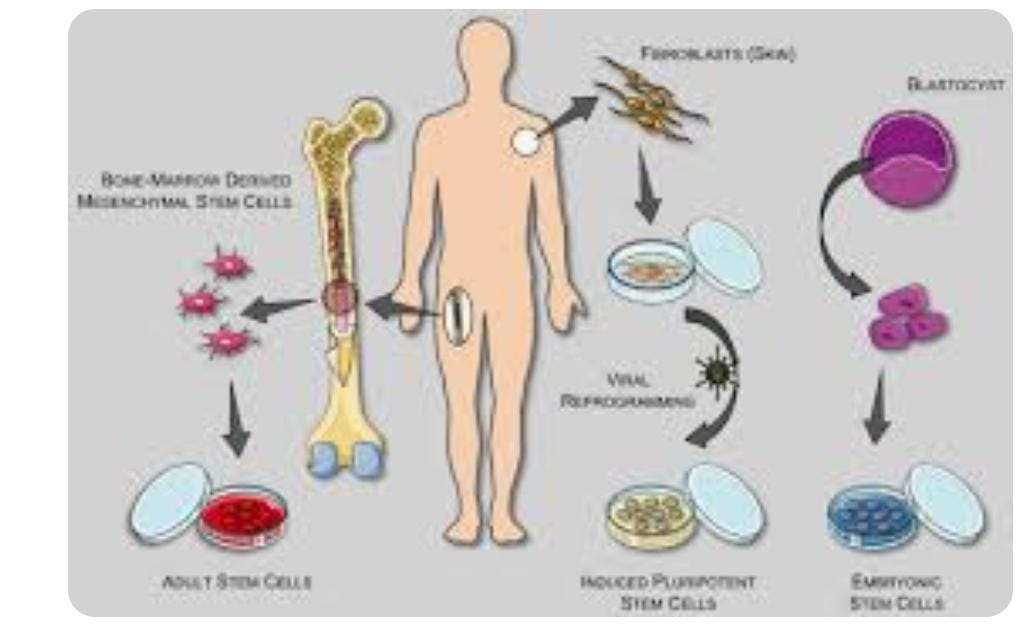 STEM CELL APPROVED PRODUCT IN INDIA